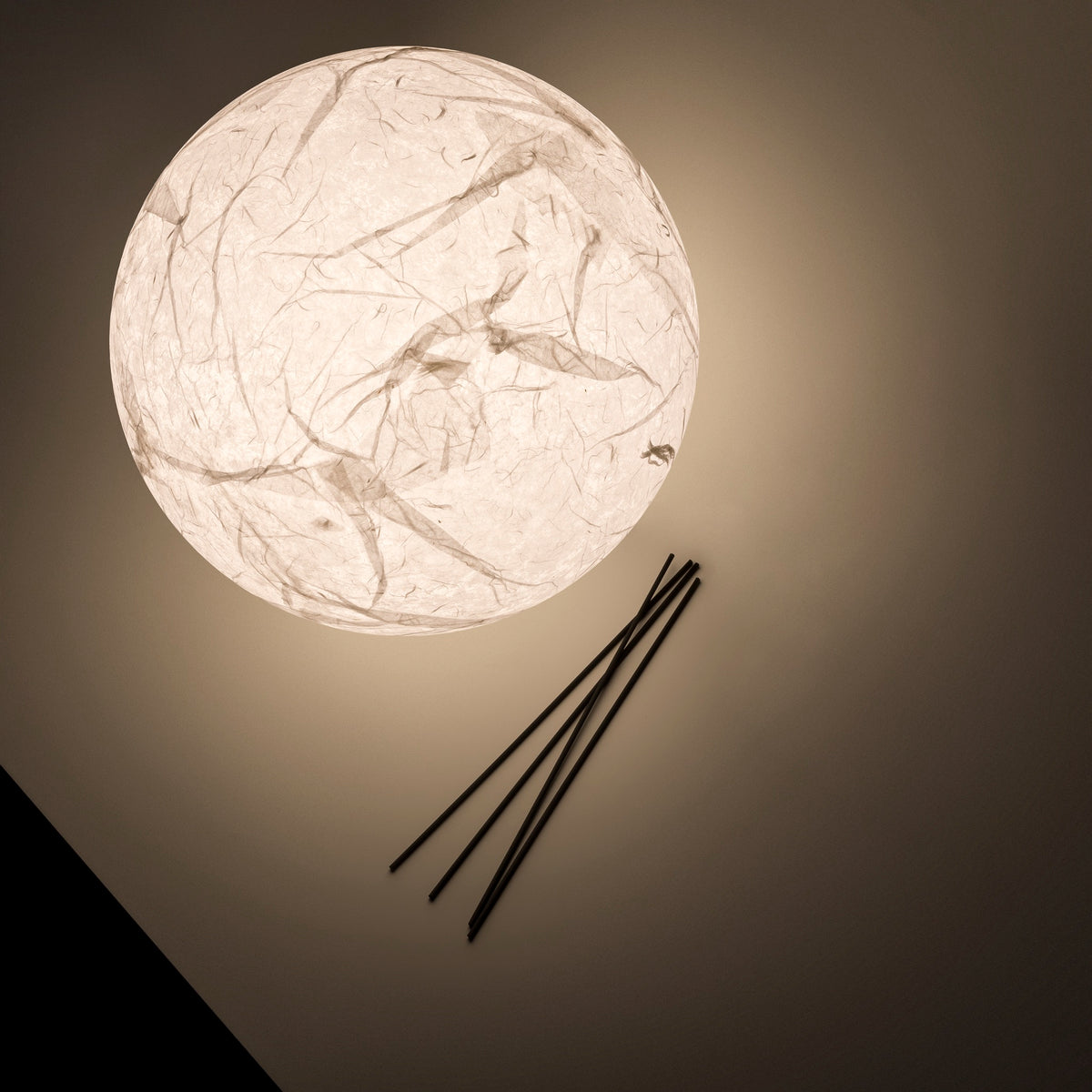 Moon T